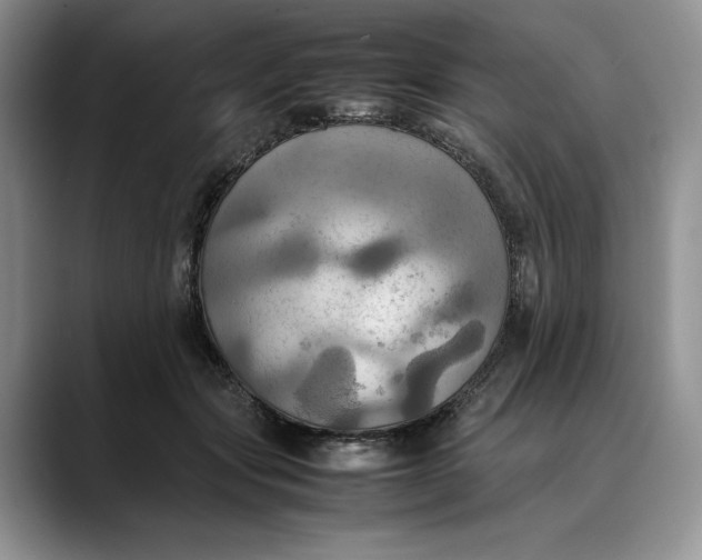 X0000088480557200706121533