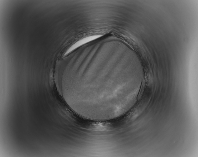 X0000088480558200706121533