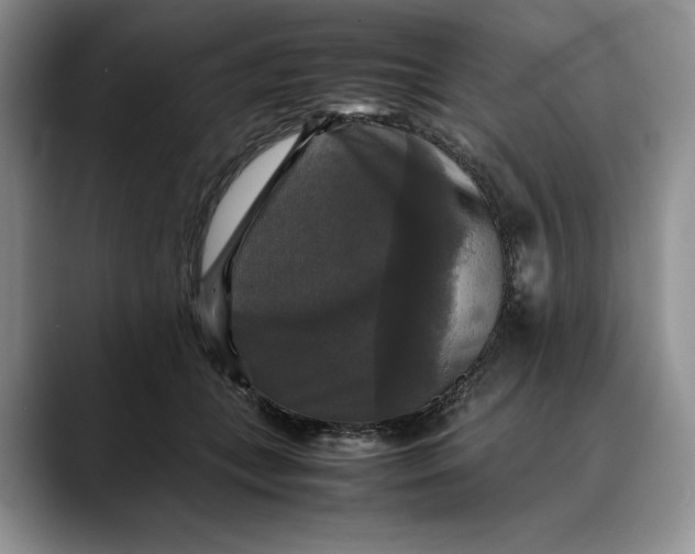 X0000088480559200706121533