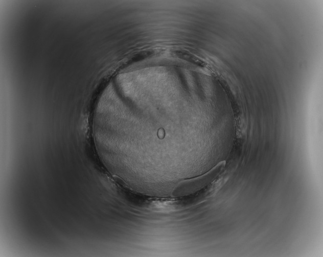 X0000088480560200706121533