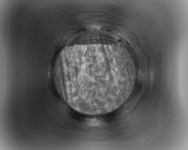 X0000088480561200706121533