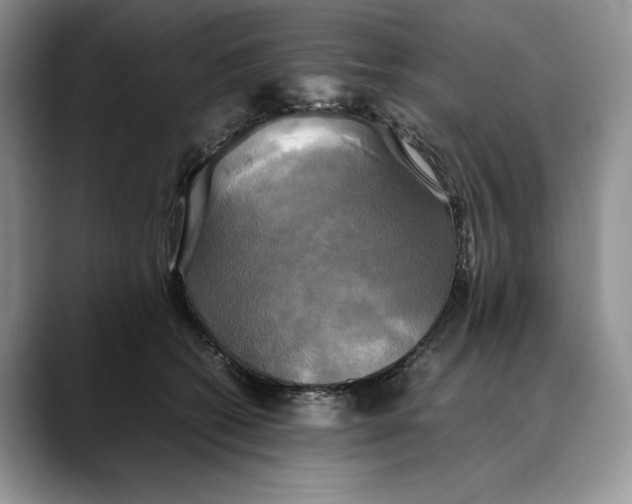 X0000088480562200706121533