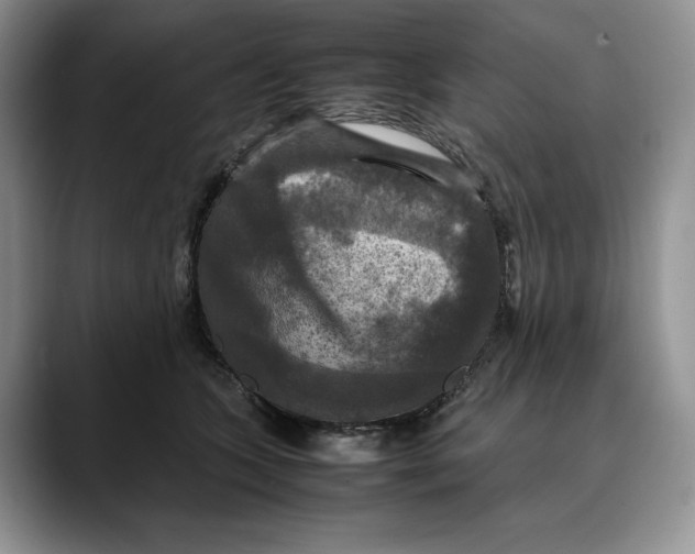 X0000088480563200706121533