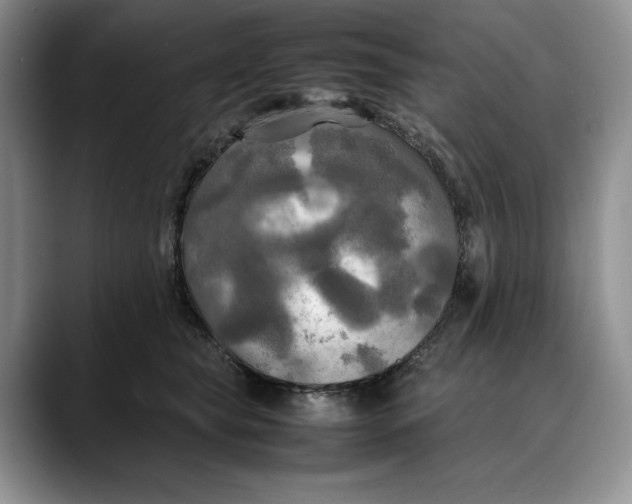 X0000088480565200706121533