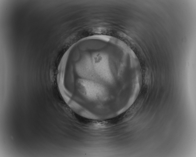 X0000088480569200706121533