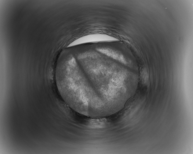 X0000088480571200706121533