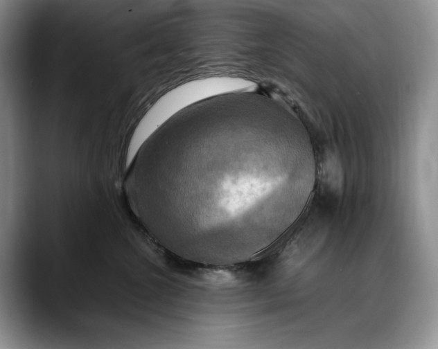 X0000088480572200706121533