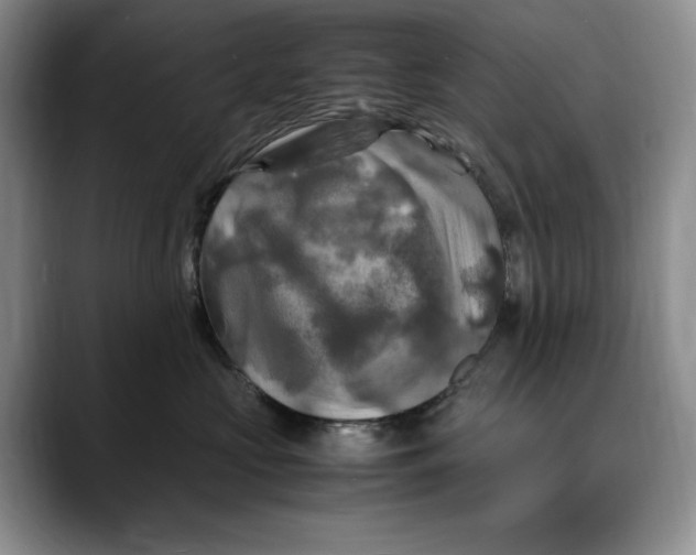 X0000088480573200706121533