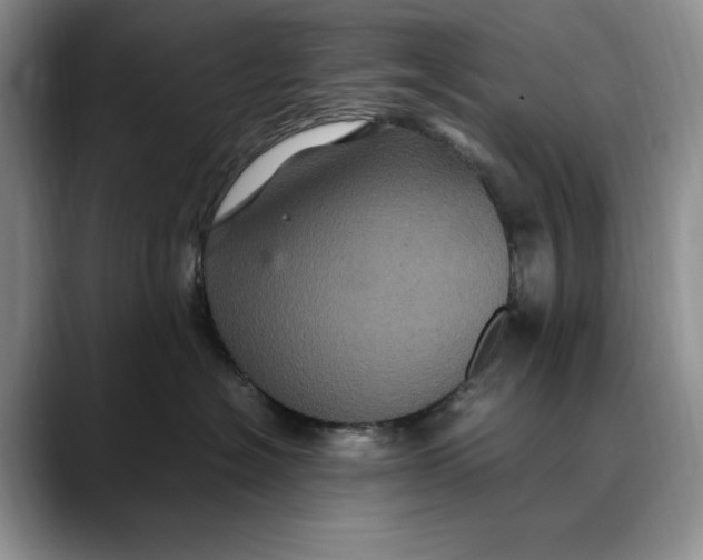 X0000088480574200706121533