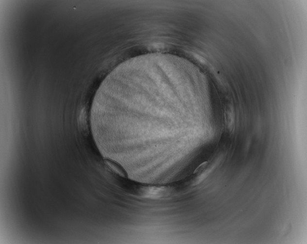 X0000088480575200706121533