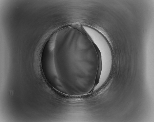 X0000088480577200706121532