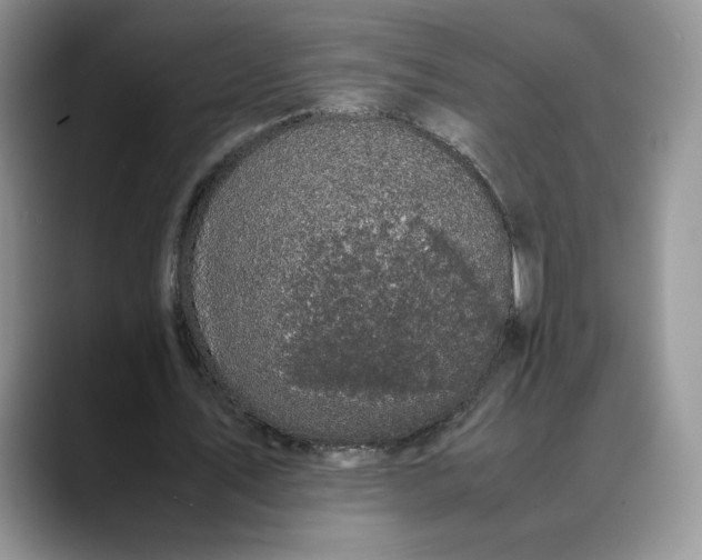 X0000088480579200706121532