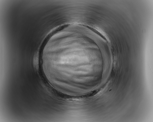 X0000088480580200706121532