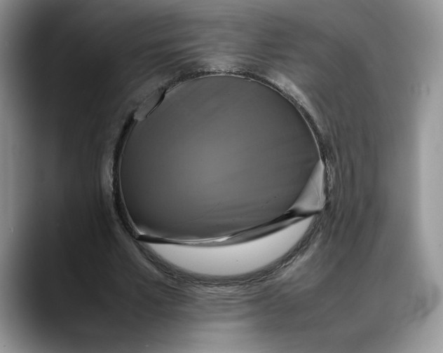 X0000088480581200706121532