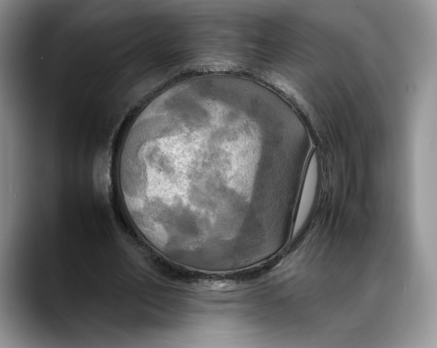 X0000088480582200706121532