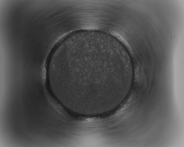 X0000088480584200706121532