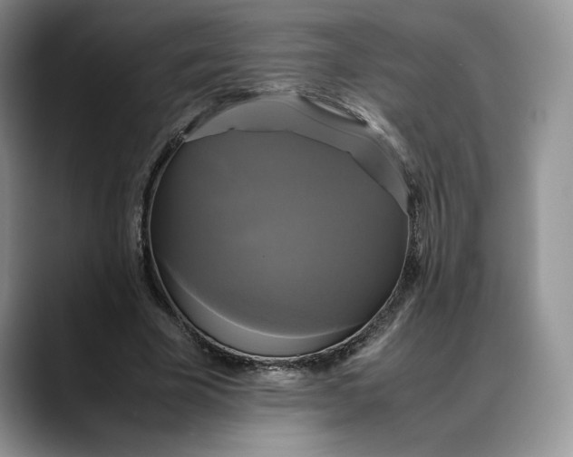 X0000088480585200706121532