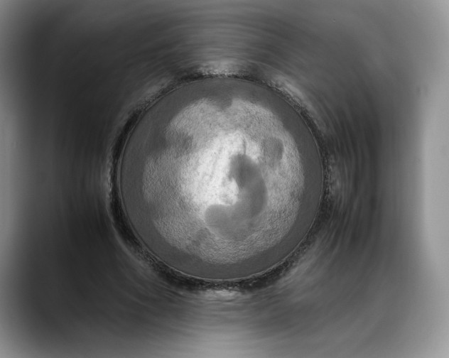 X0000088480586200706121532