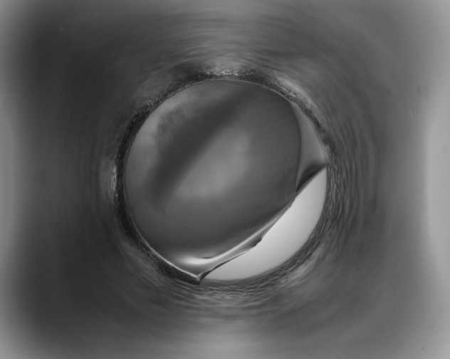 X0000088480589200706121532