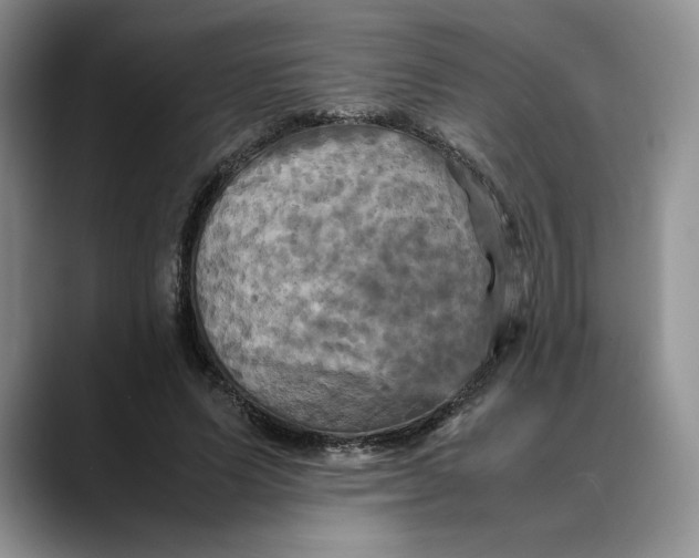 X0000088480591200706121532