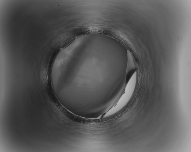 X0000088480593200706121532