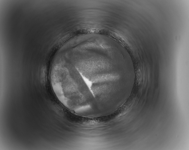 X0000088480594200706121532