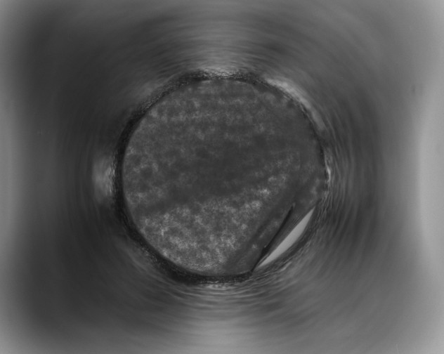 X0000088480596200706121532