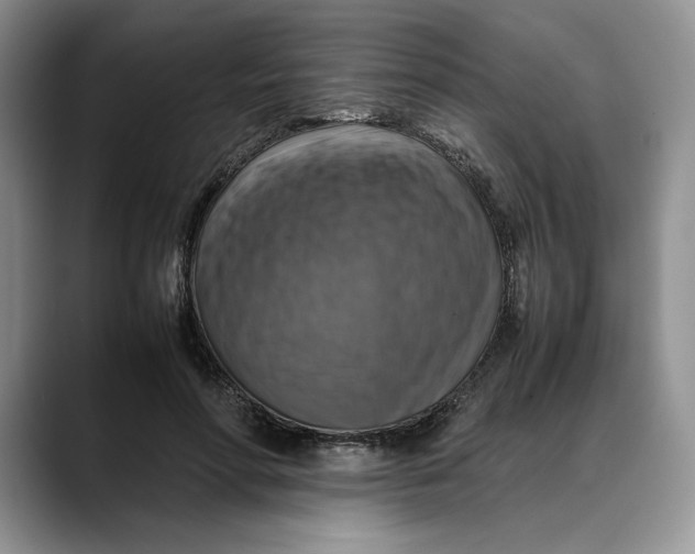 X0000088480598200706121532