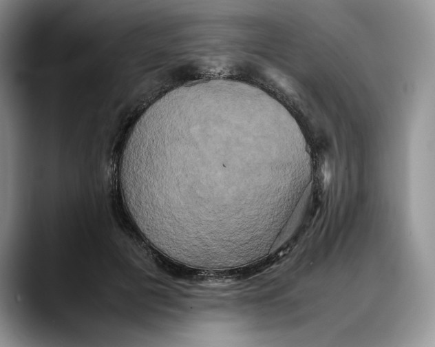 X0000088480601200706121532