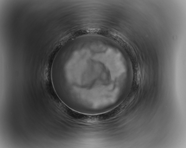 X0000088480604200706121532