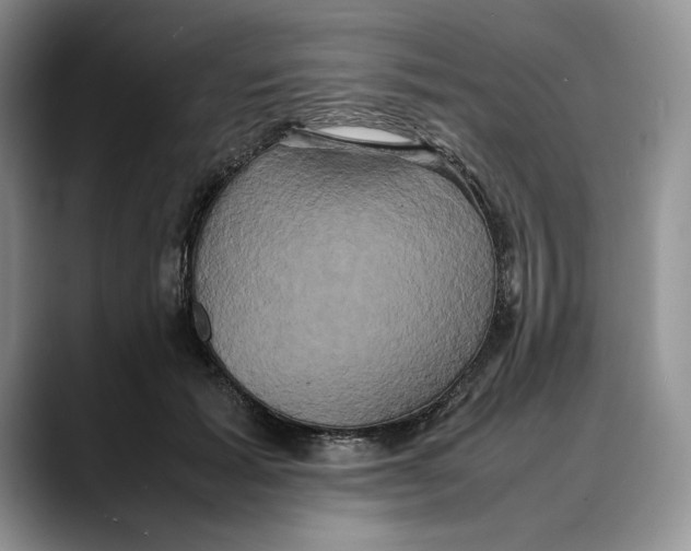 X0000088480605200706121532