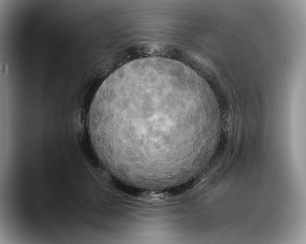 X0000088480607200706121532