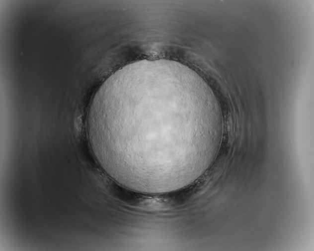 X0000088480611200706121532