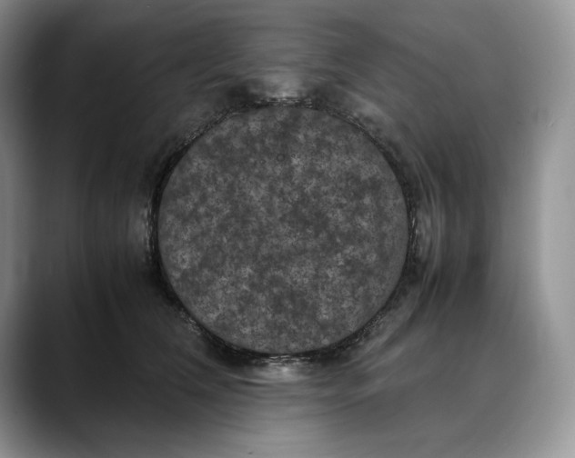 X0000088480612200706121532