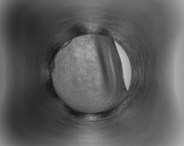 X0000088480613200706121532