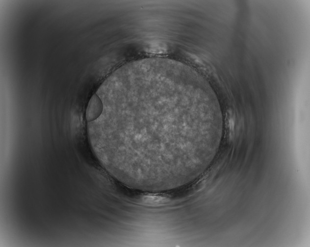 X0000088480614200706121532