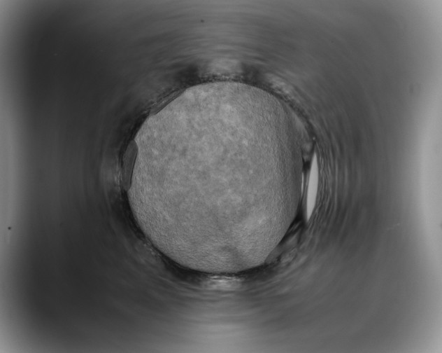 X0000088480617200706121532