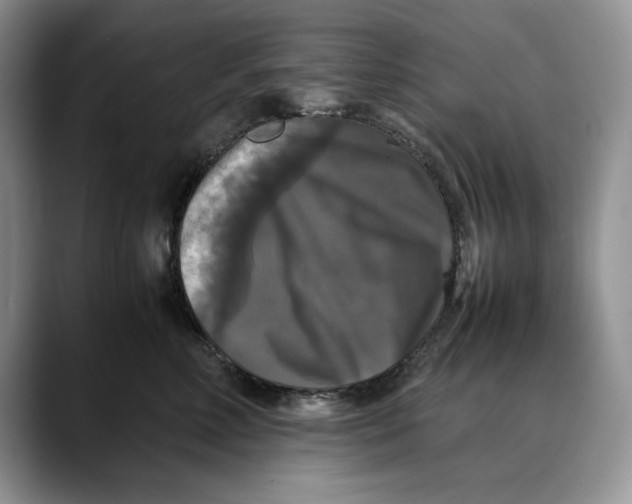 X0000088480618200706121532