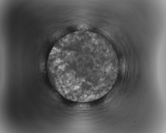 X0000088480619200706121532