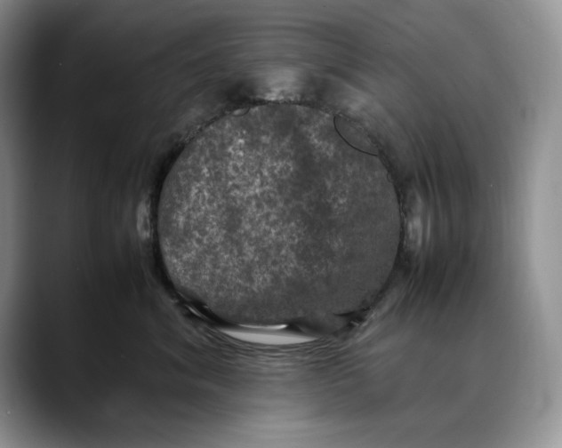 X0000088480620200706121532