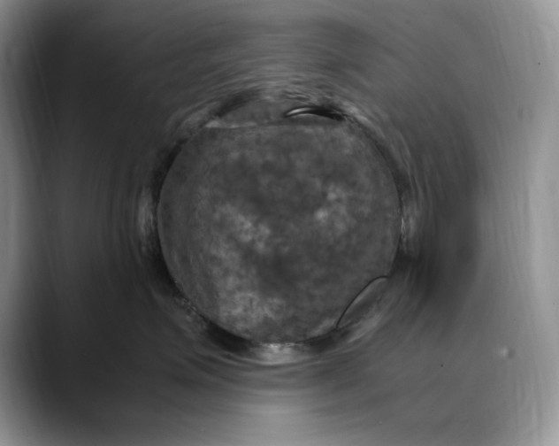 X0000088480623200706121532