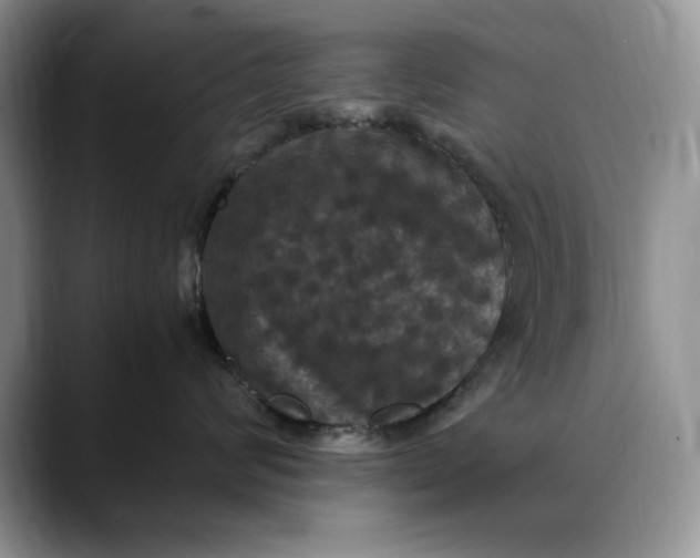 X0000088480624200706121532