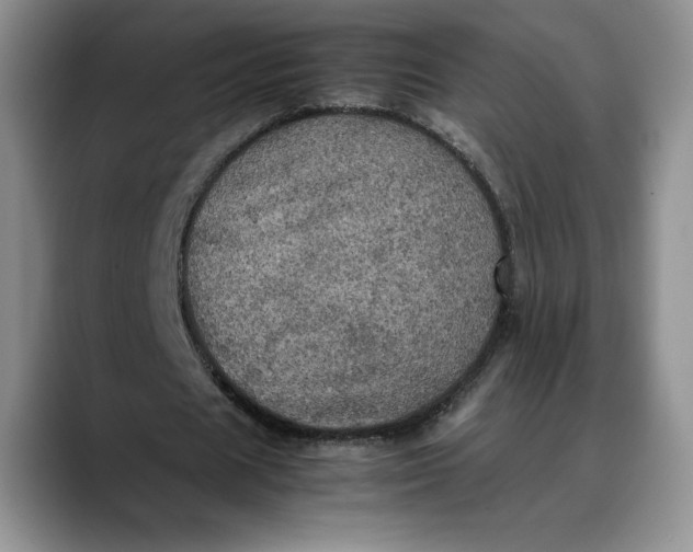 X0000088480625200706121531