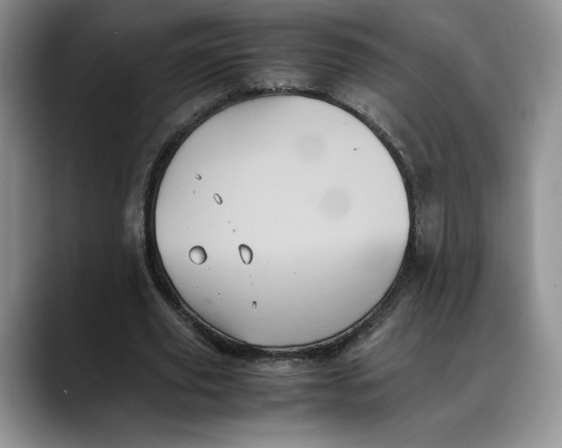 X0000088480629200706121531