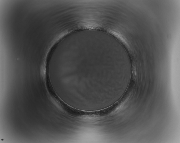 X0000088480630200706121531
