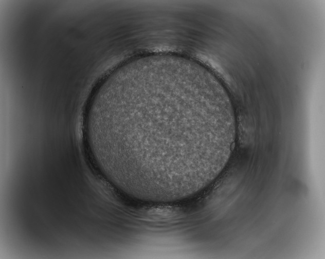 X0000088480631200706121531