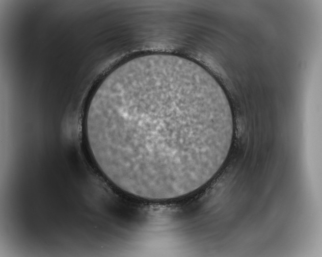 X0000088480632200706121531