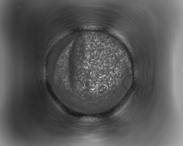 X0000088480633200706121531