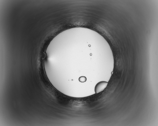 X0000088480635200706121531
