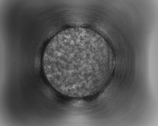 X0000088480642200706121531